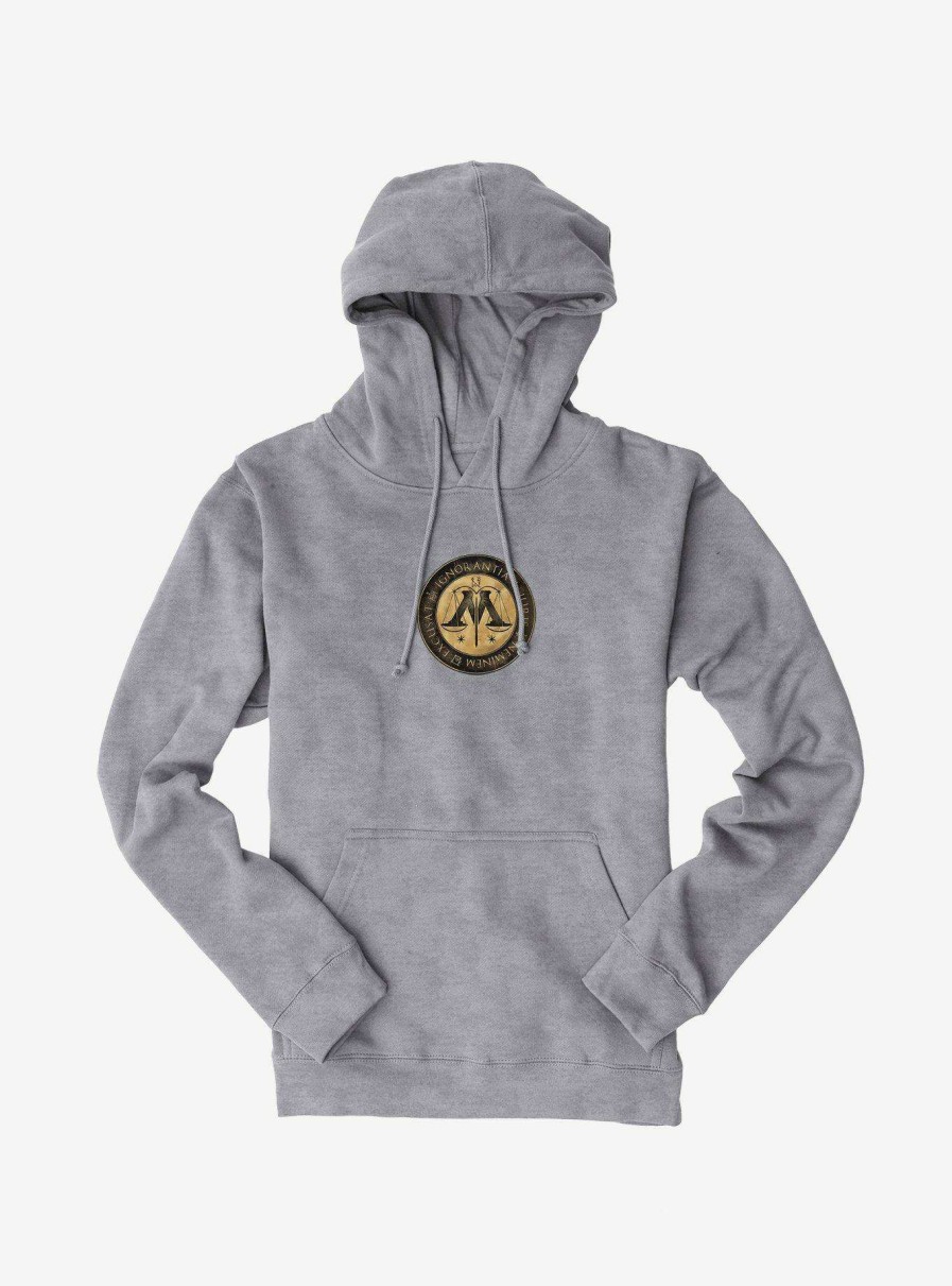 Clothing * | Harry Potter Ministry Icon Hoodie Opening Sales