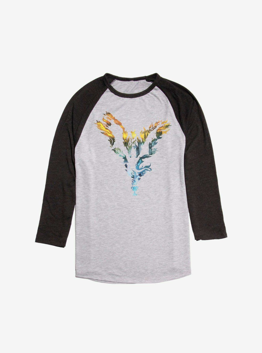 Clothing * | Online Sale Harry Potter Burning Phoenix Raglan