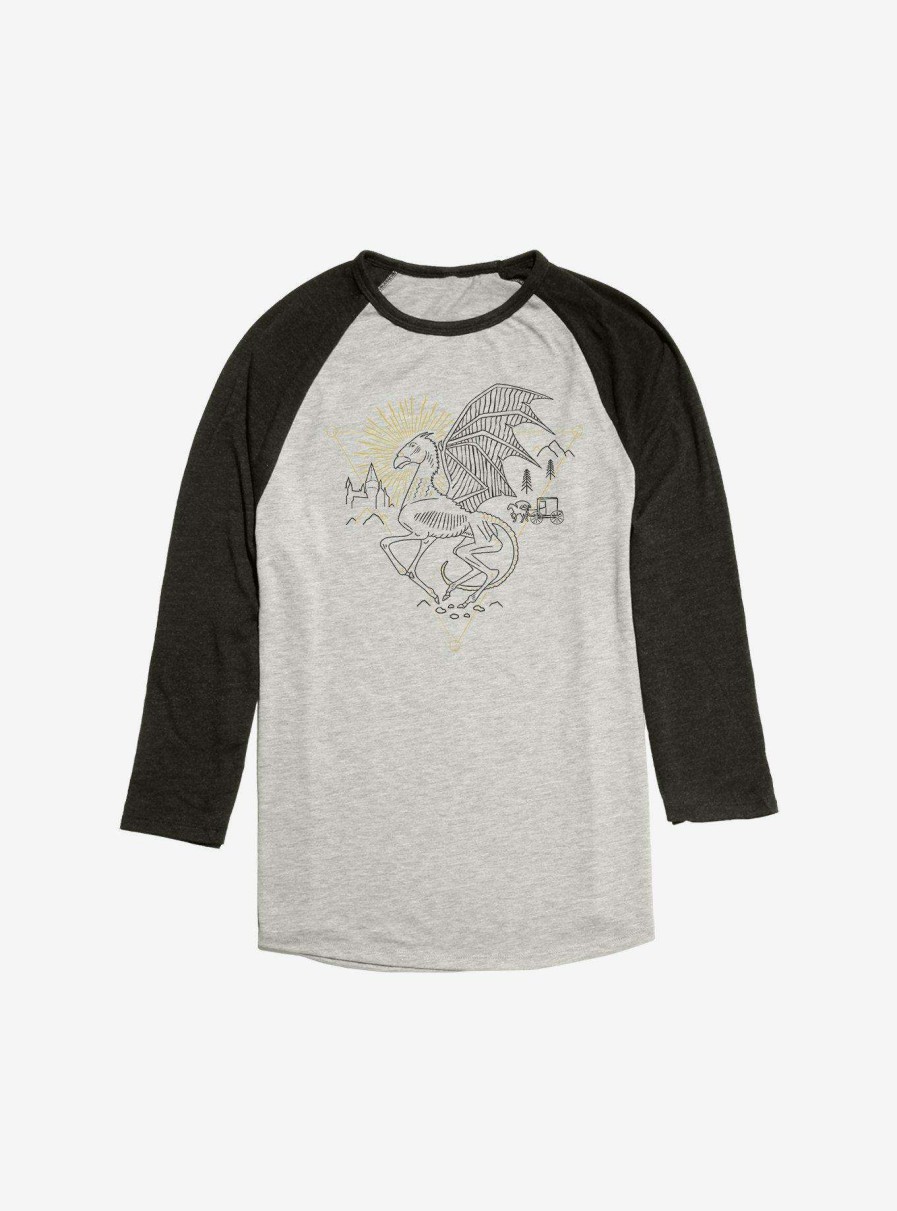 Clothing * | Harry Potter Darkness Falls Raglan Discount Sale